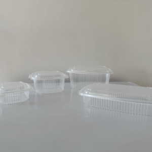 Boite couvercle charnière micro-ondable