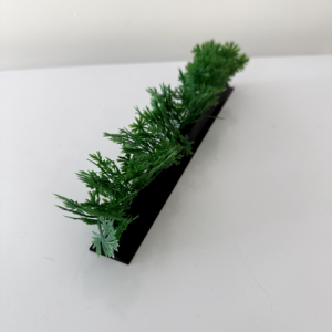 Barrettes persil base noire - boite de 12