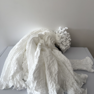 Chaussette à jambon - paquet de 25