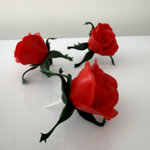 Roses à piquer-pq de 25